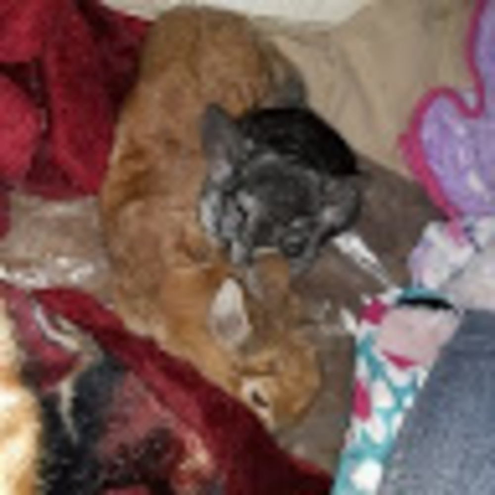 Meet your Posher, Nancy